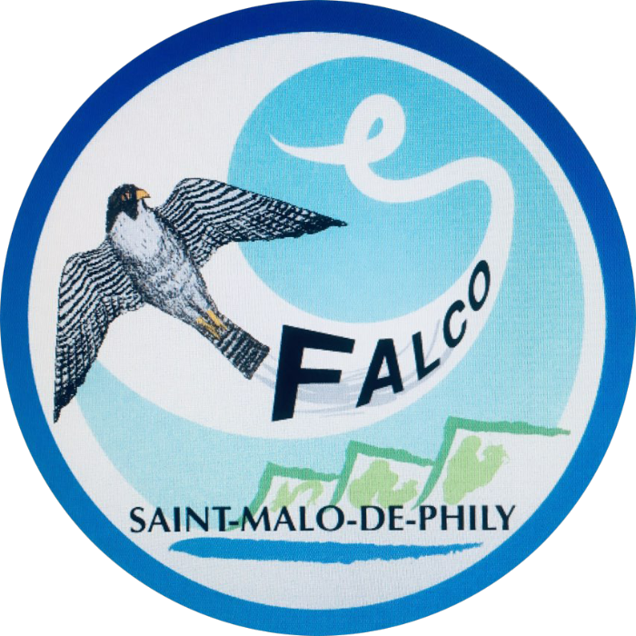 Logo FALCO SMP