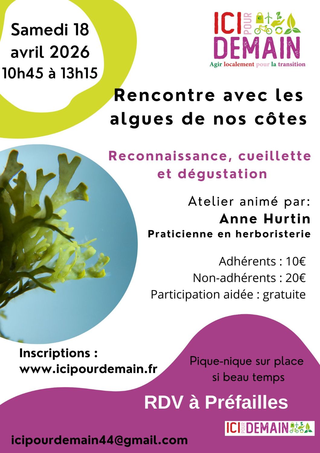 Atelier reconnaissance, cueillette et dégustation des algues de nos côtes