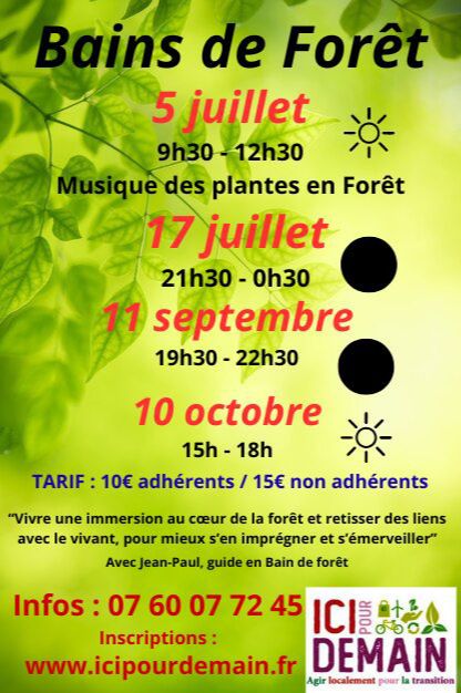 Bain de  forêt  nocturne, par nuit noire