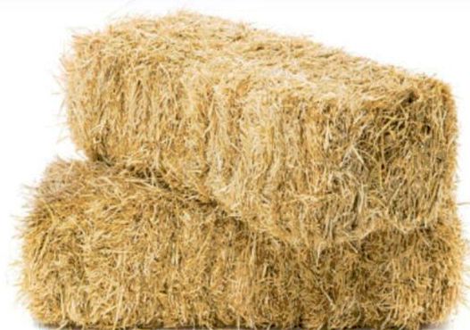 VENTE DE BOTTES DE PAILLE SUR COMMANDE