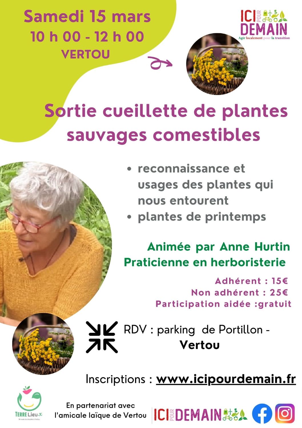 Sortie cueillette de plantes sauvages comestibles