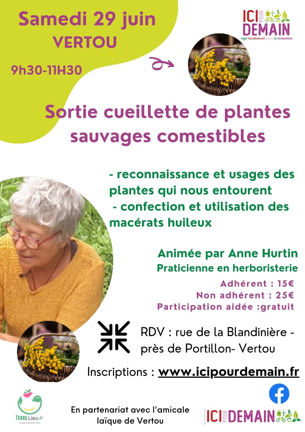 Sortie cueillette de plantes sauvages comestibles