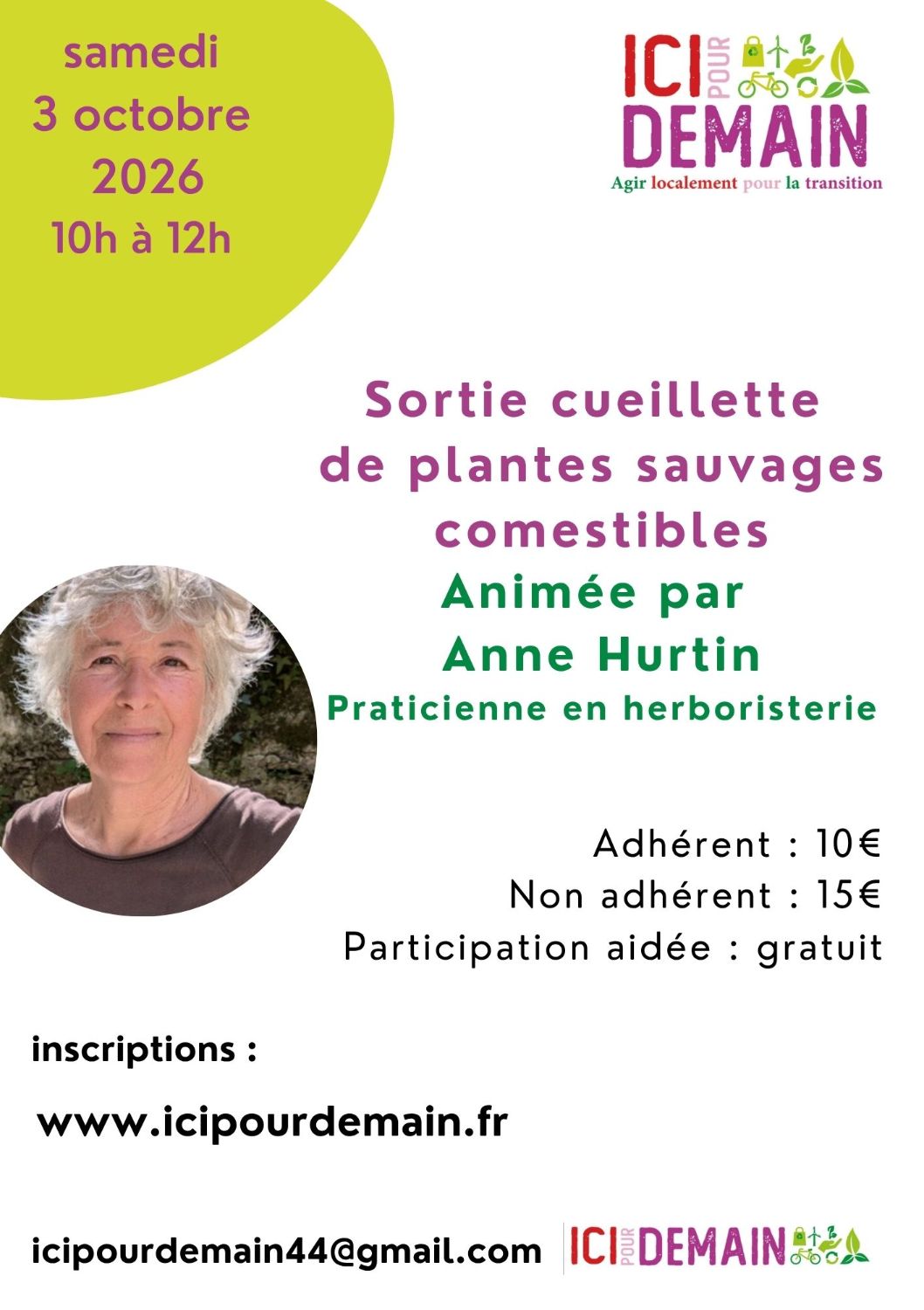 Sortie plantes sauvages comestibles