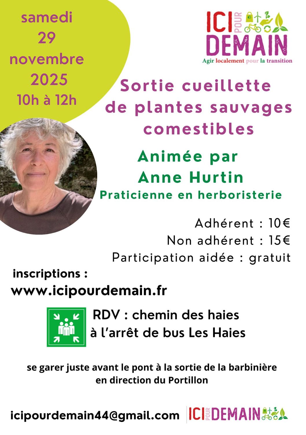 Sortie plantes sauvages comestibles