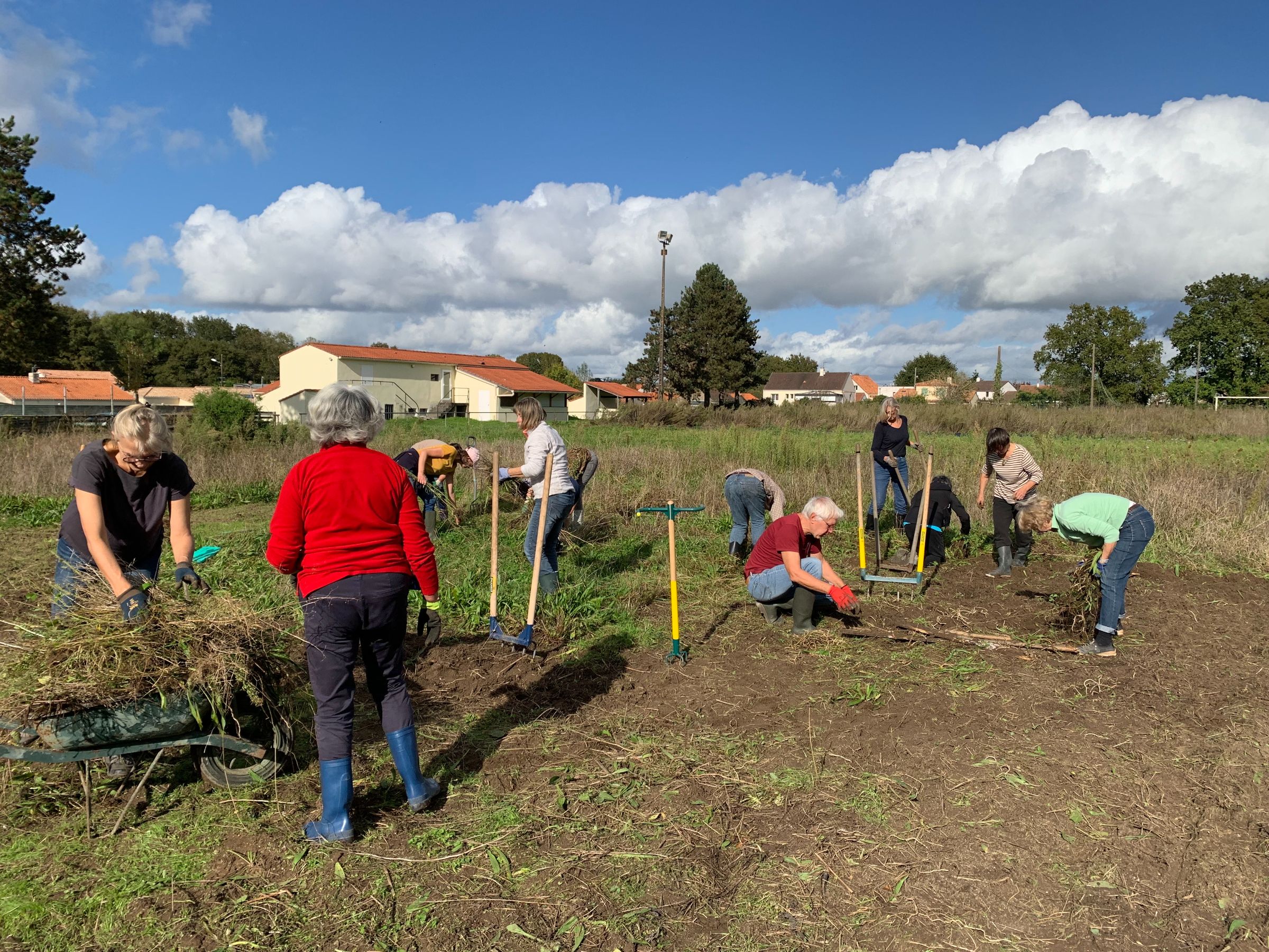 MENU - jardin potager