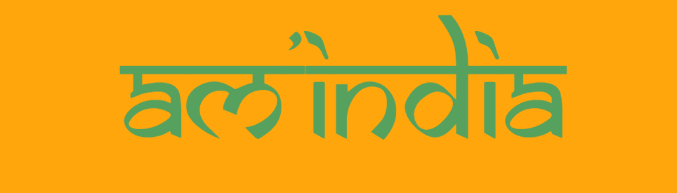 Logo Am'India