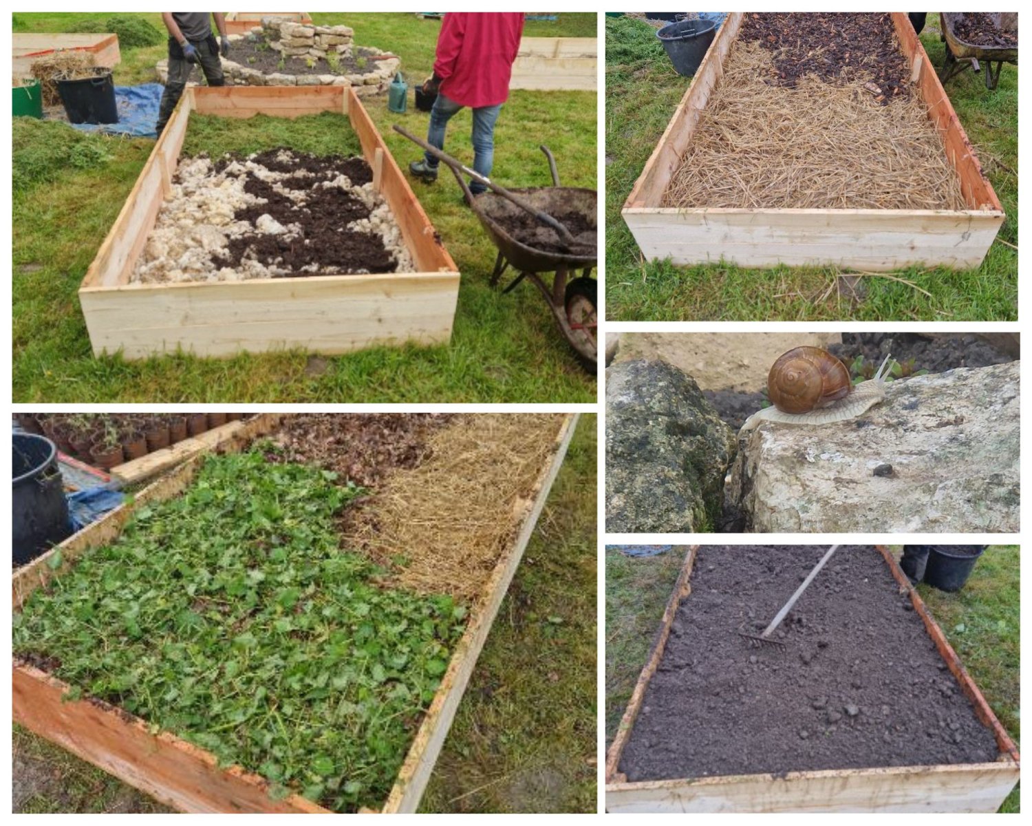 C'est le moment  de plancher sur les graines potagères ! - plaisir-jardin .com