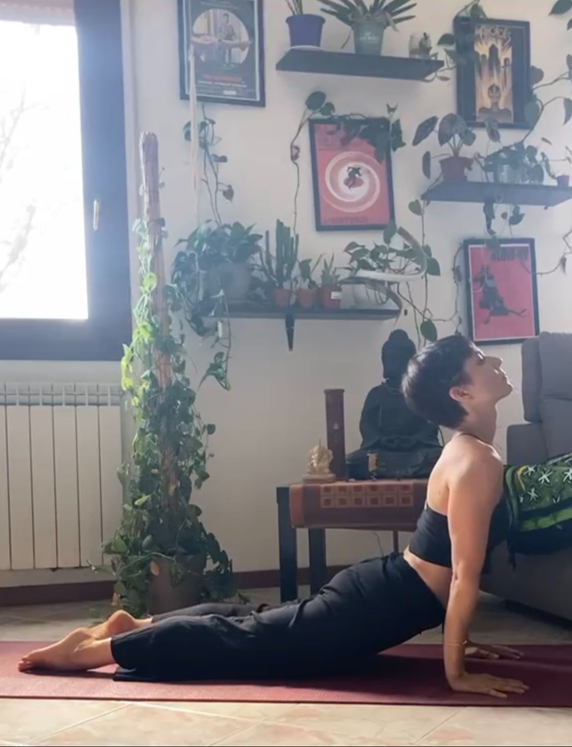 Guidata Online - Ashtanga Yoga Rovigo - Winter