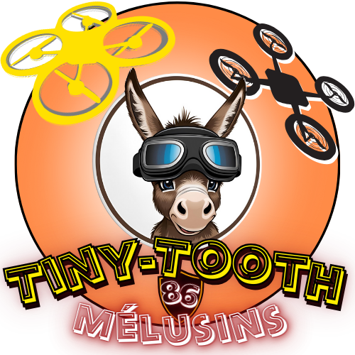 Logo Tiny-Tooth Mélusins