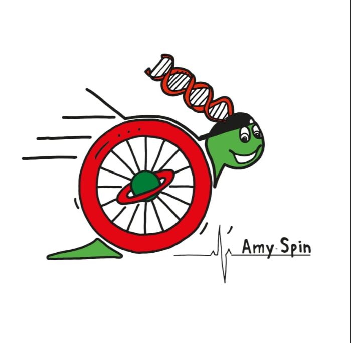 Logo L'AmySpin