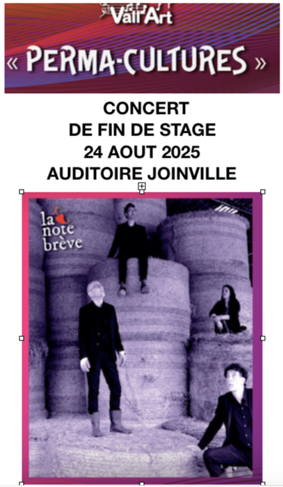CONCERT DE FIN DE STAGE LA NOTE BREVE