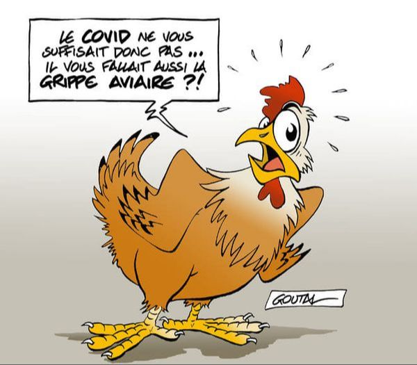 Stand Sauve qui poule à LURRAMA 10-11-12 nov. 2022