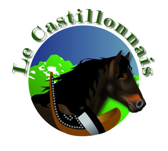 Logo Association Nationale Cheval Castillonnais Ariège Pyrénées