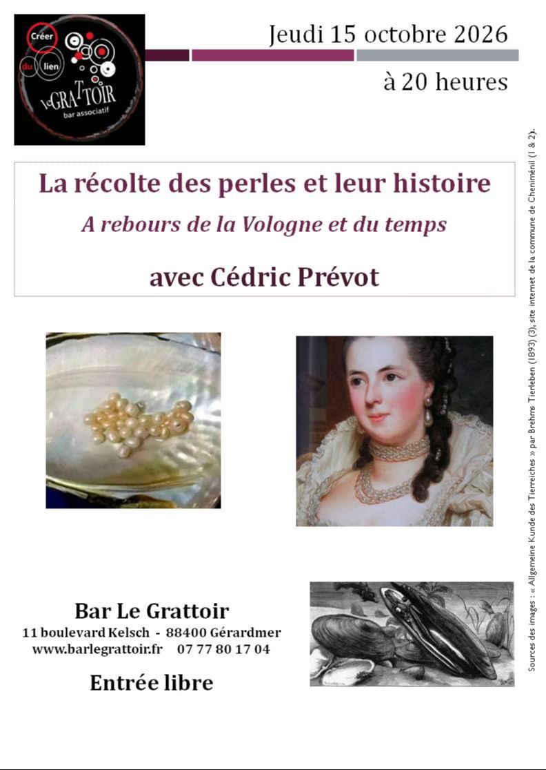 Articles - Vignette