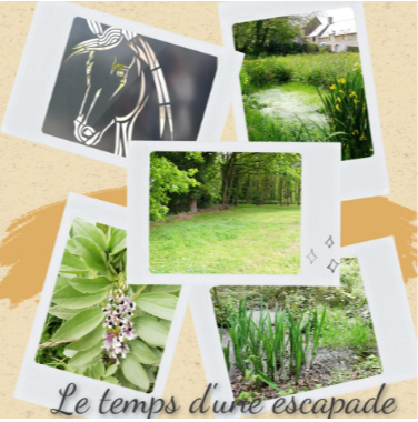 Articles - Vignette
