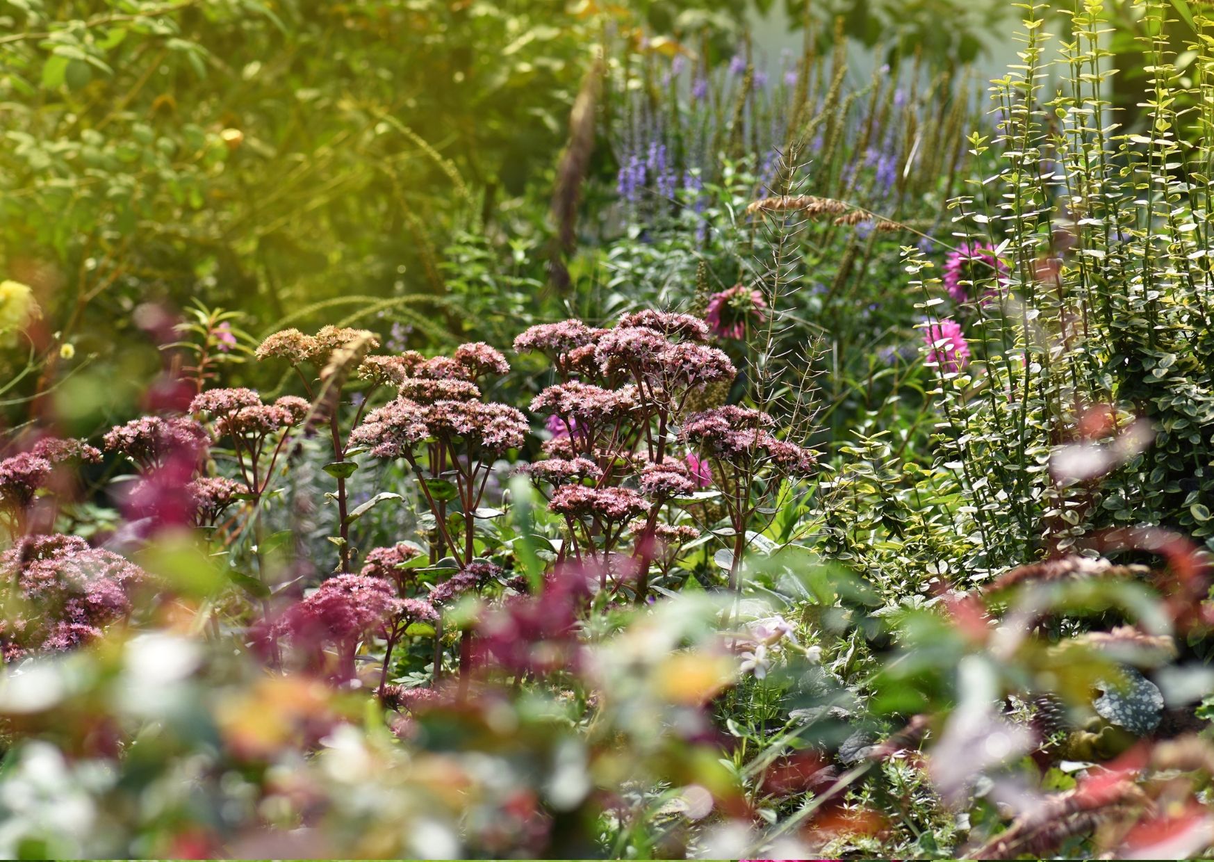 Causerie sur le Jardin au Naturel