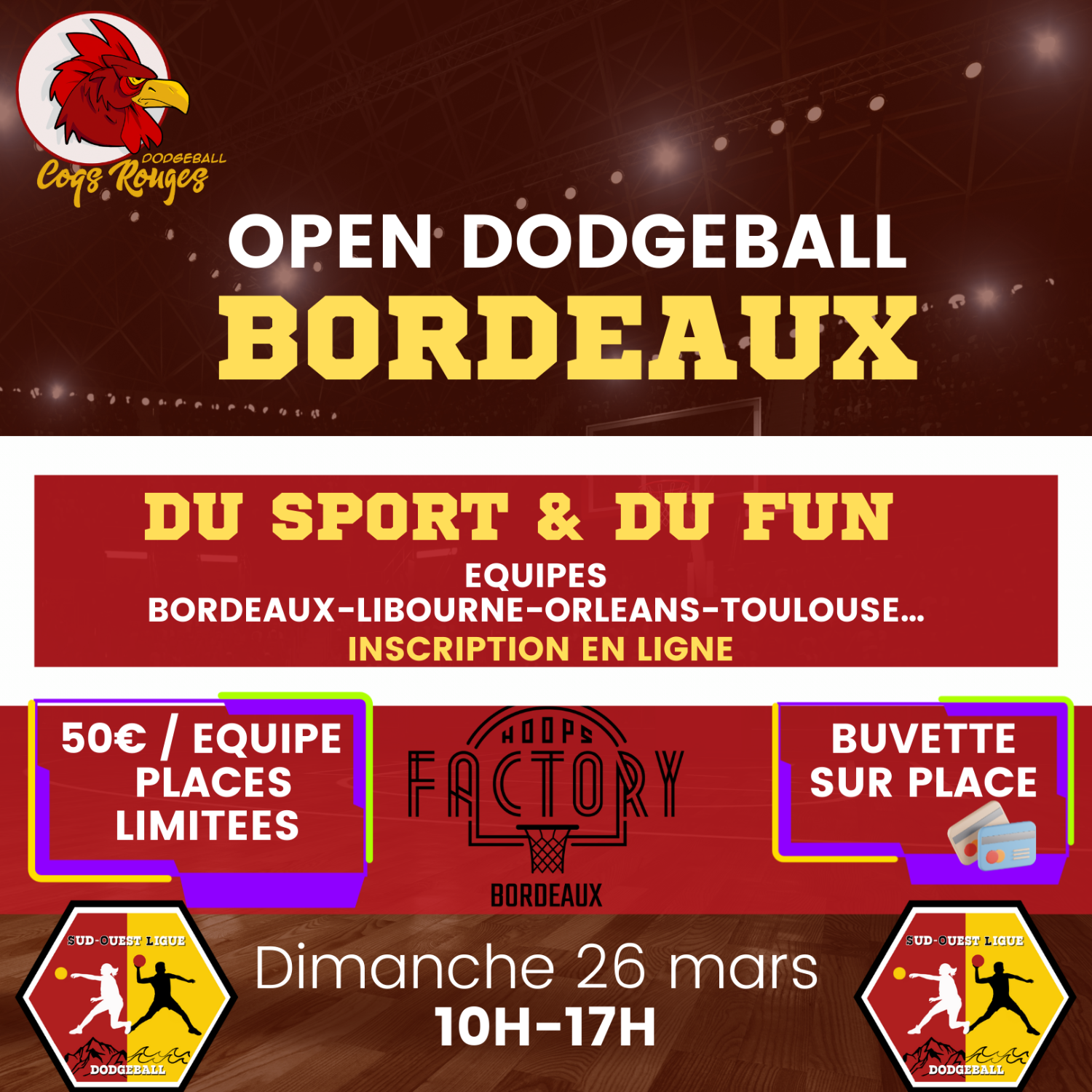 Open Dodgeball Bordeaux