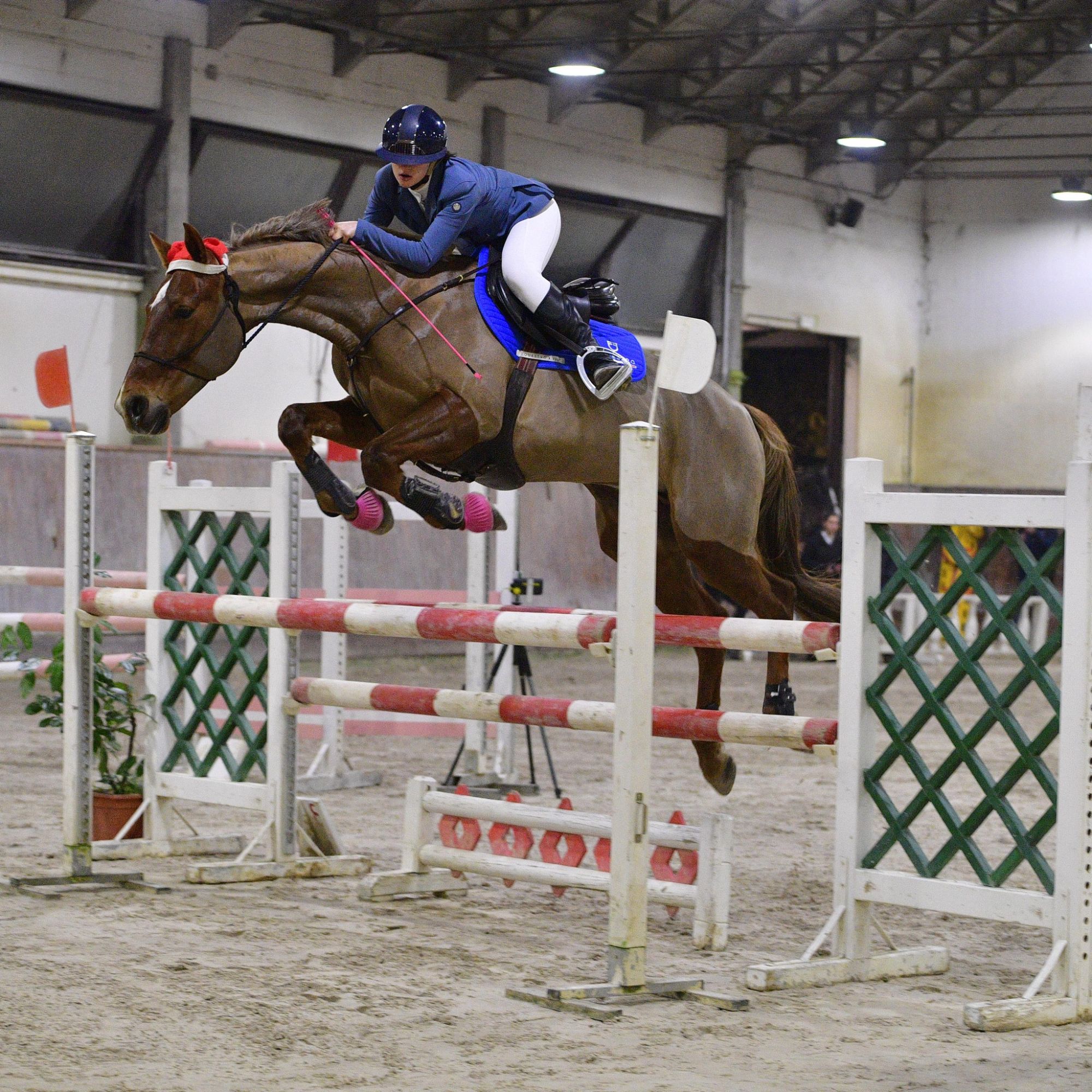 Stage di Salto Ostacoli